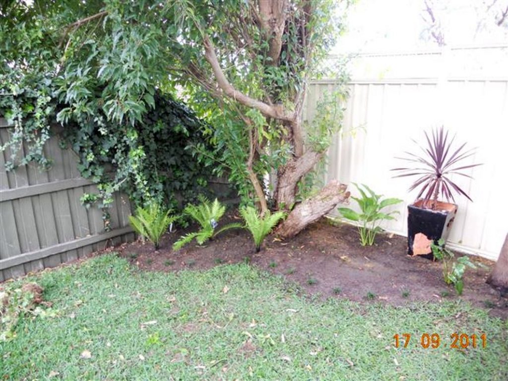 Front garden - after