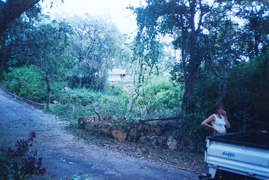 Garden before renovation