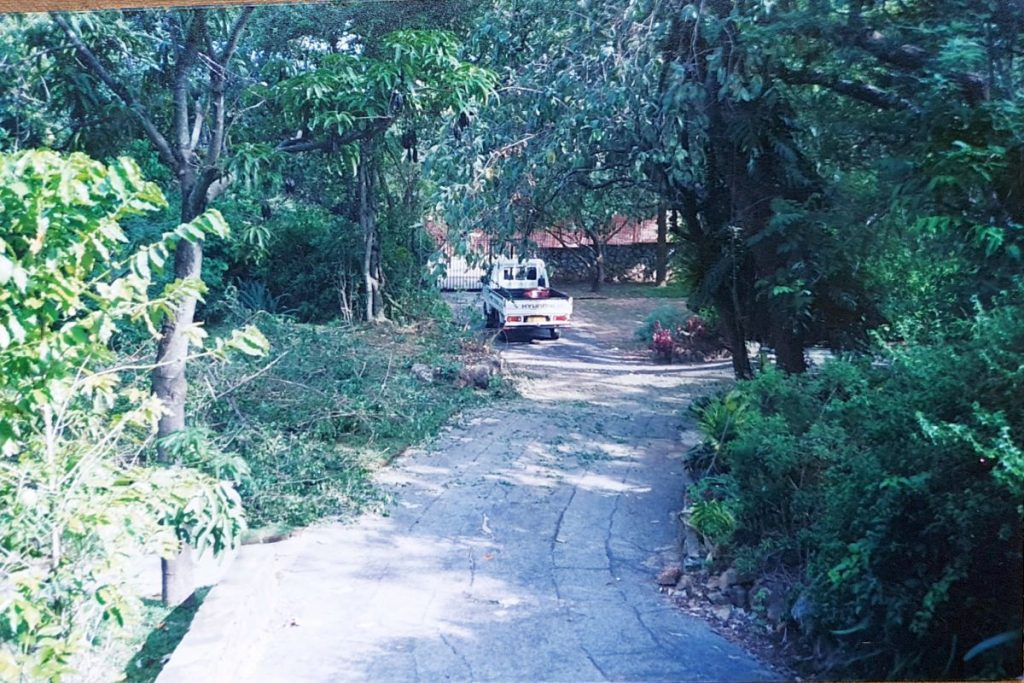 Garden before renovation