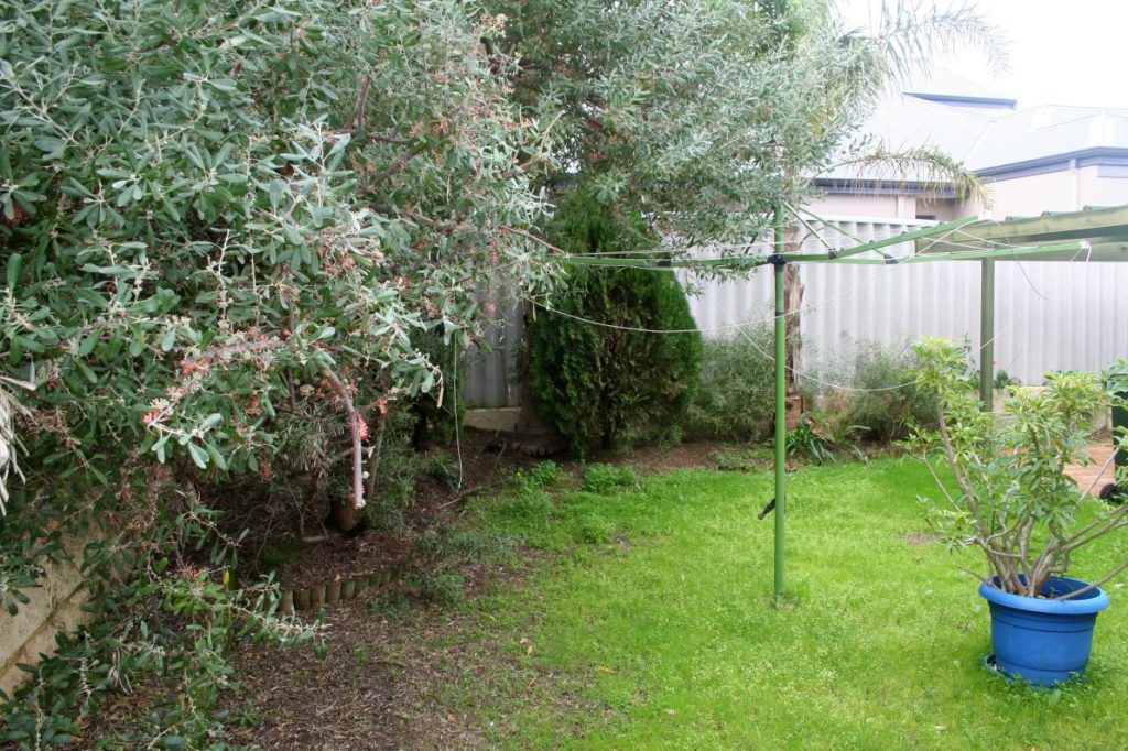 Back garden before renovation