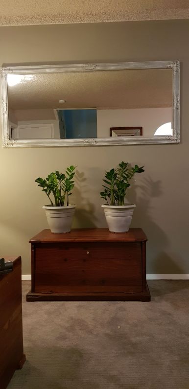Plastic pots made to look so different with chalk paint