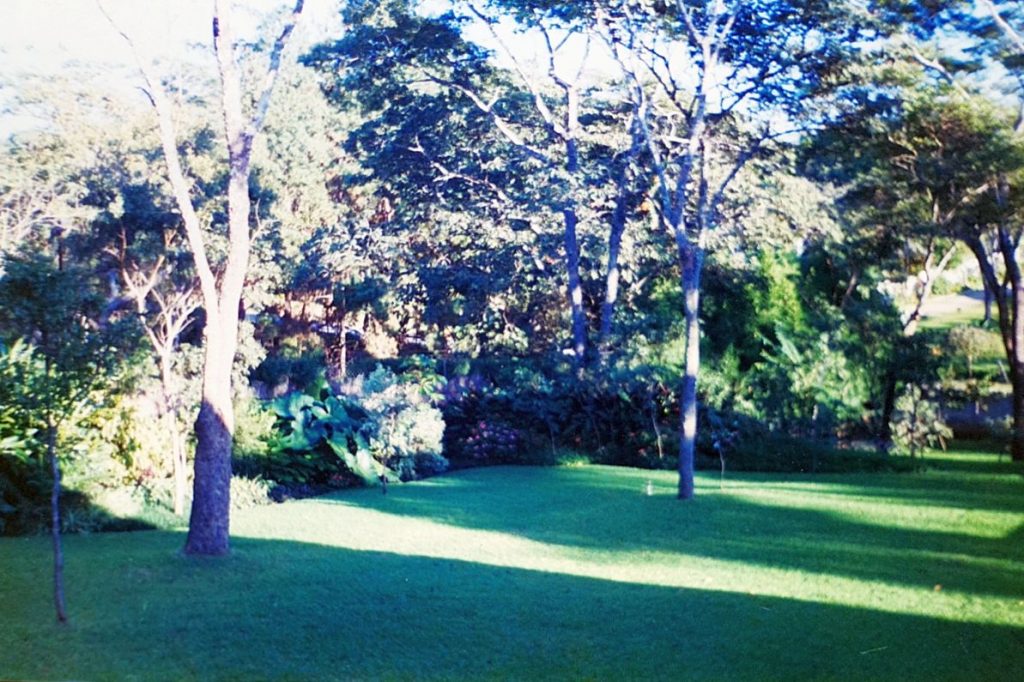 Garden