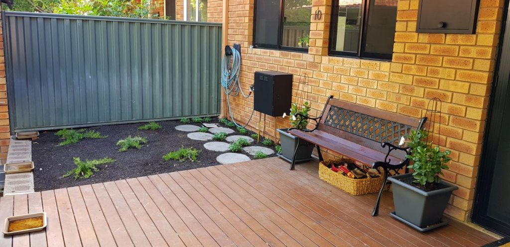 Garden and bench
