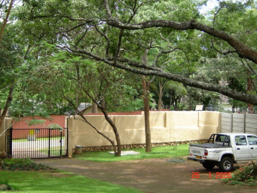 Garden after renovation