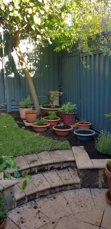Pot garden