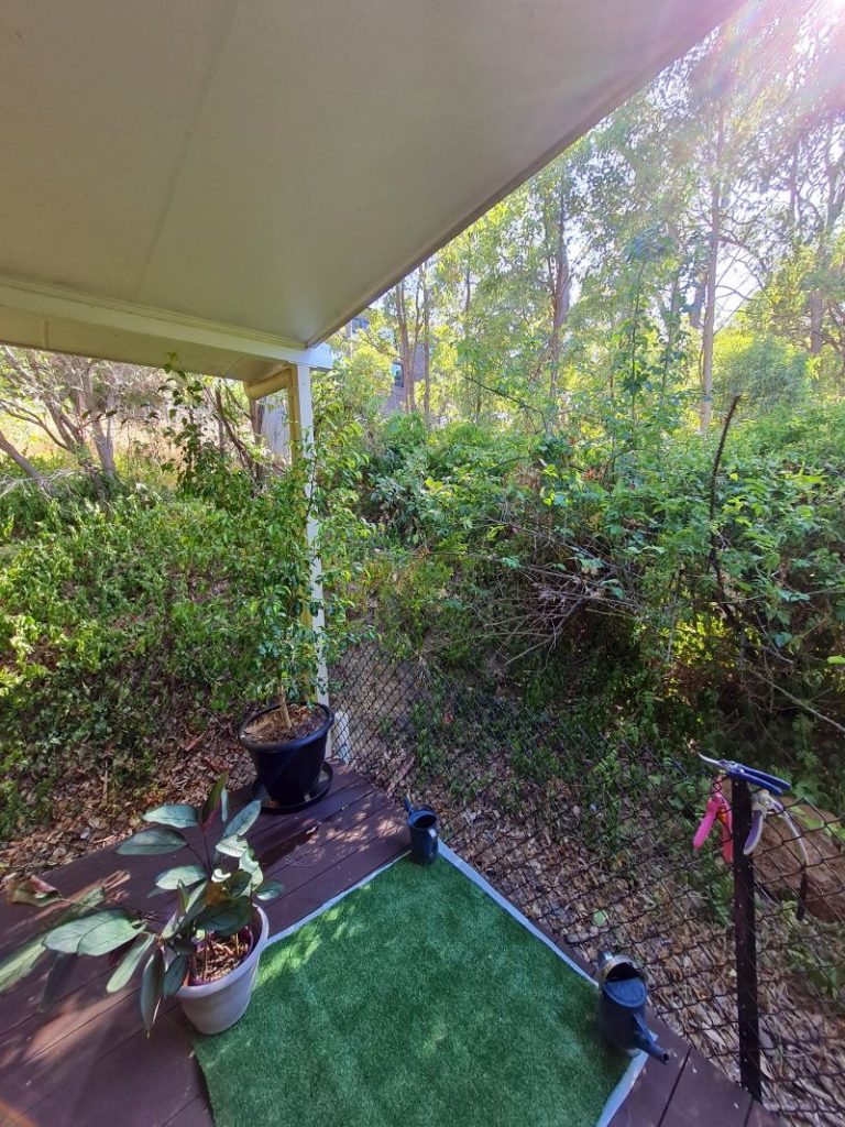 Before garden screen renovation
